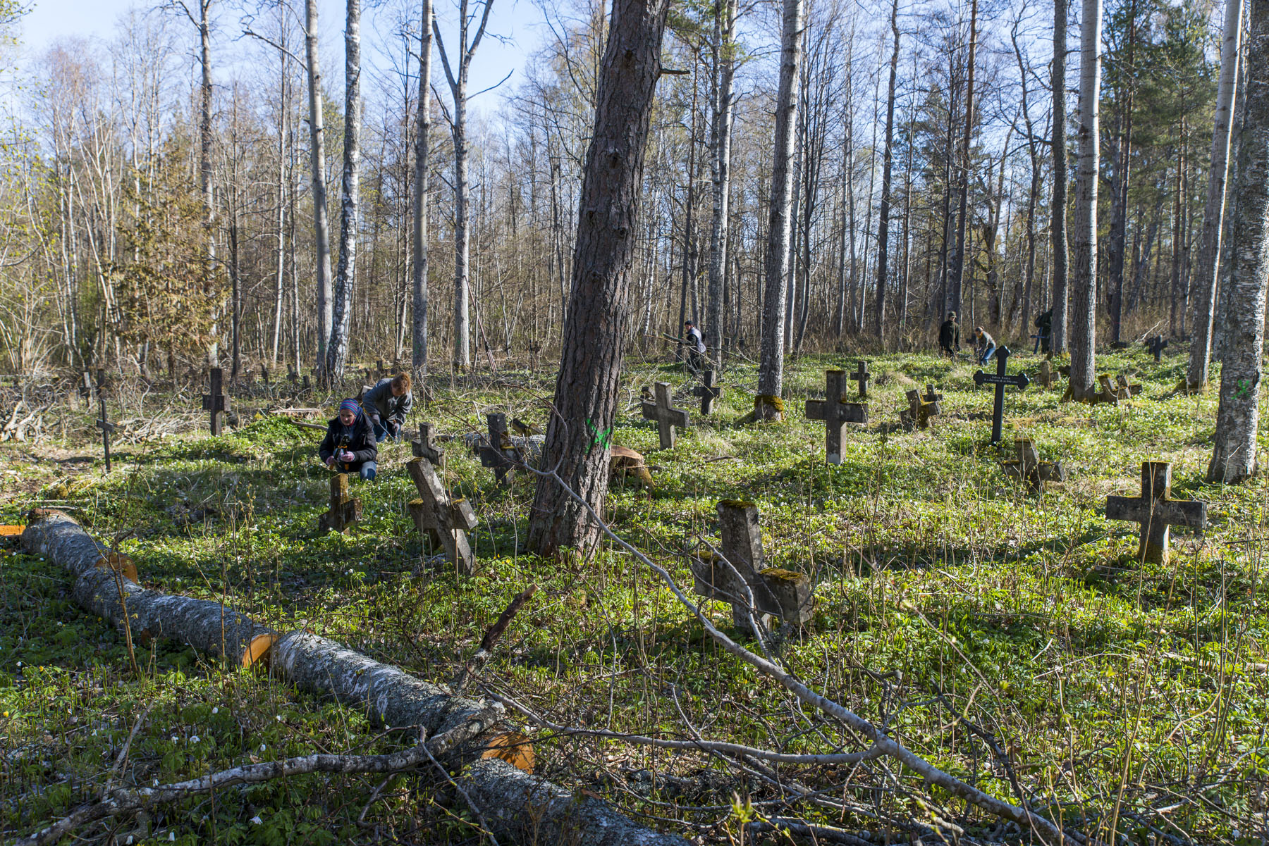 20140503-Kummistu-talgud-401.jpg - 3. mai 2014. Talgud Kummistu kalmistul. Foto Mart Mõniste