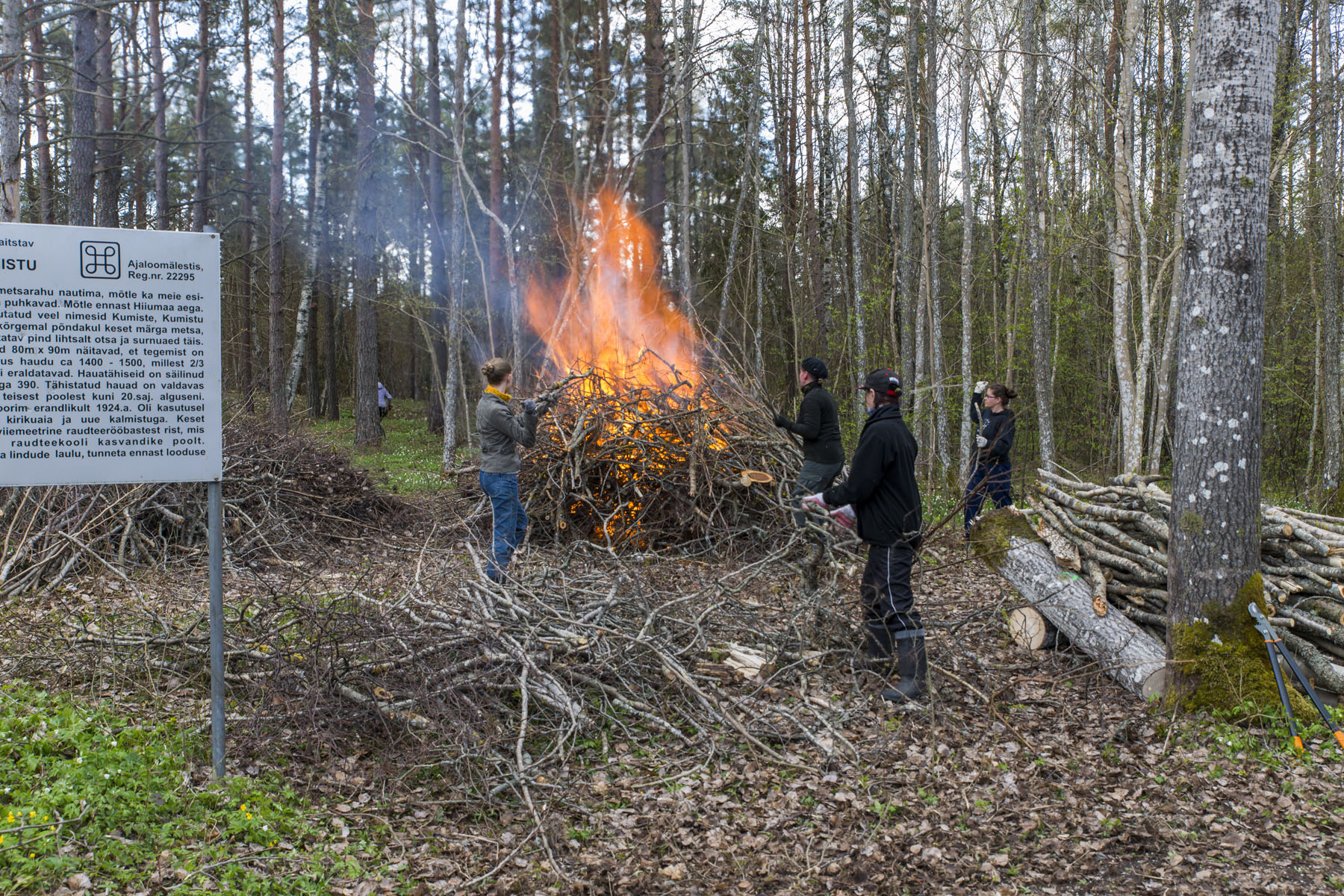 20140503-Kummistu-talgud-403.jpg - 3. mai 2014. Talgud Kummistu kalmistul. Foto Mart Mõniste