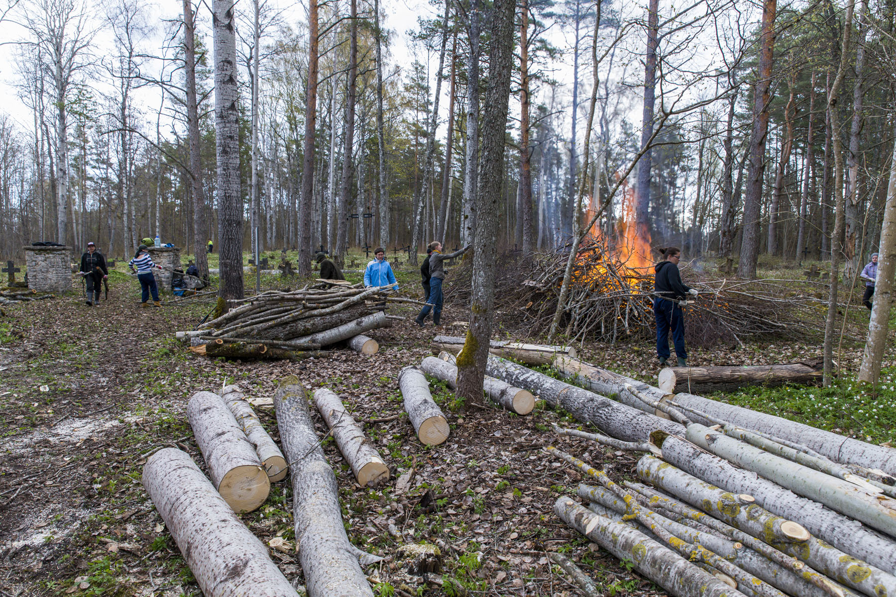 20140503-Kummistu-talgud-411.jpg - 3. mai 2014. Talgud Kummistu kalmistul. Foto Mart Mõniste