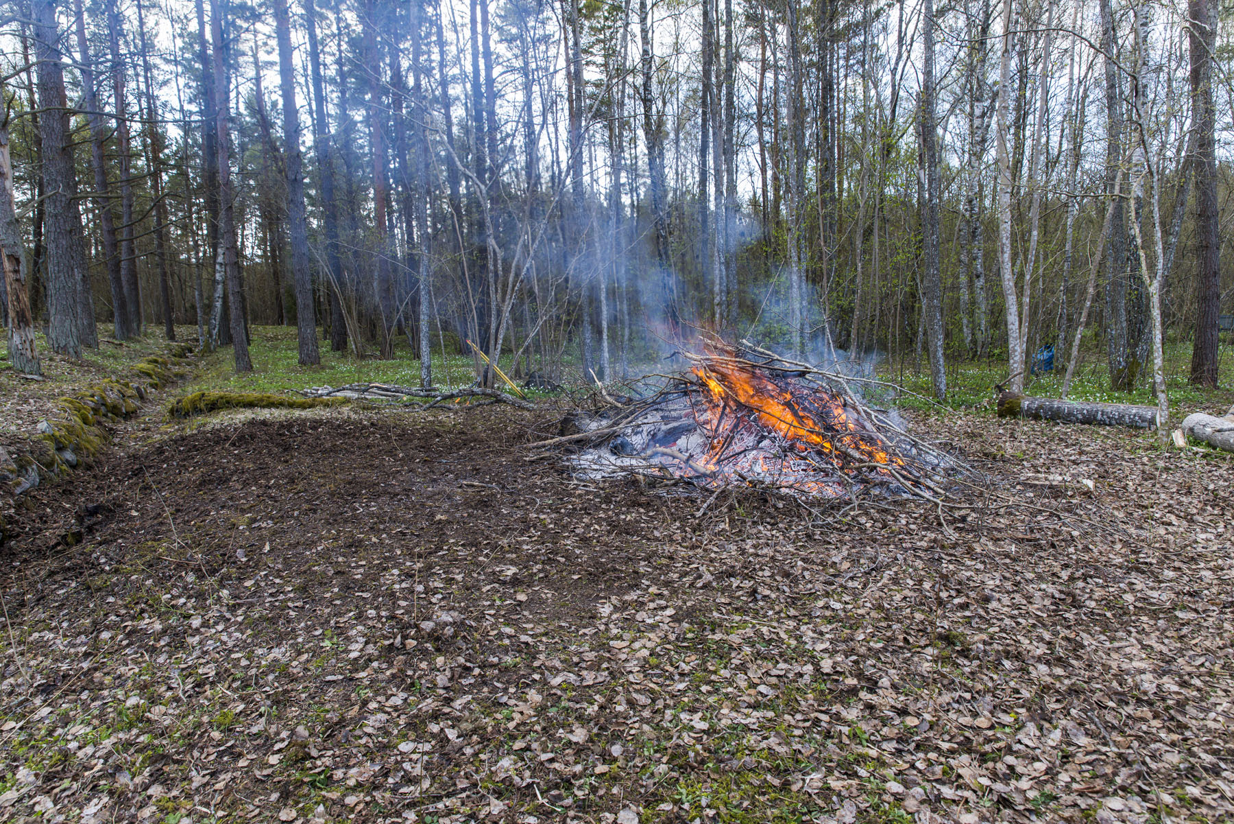 20140503-Kummistu-talgud-461.jpg - 3. mai 2014. Talgud Kummistu kalmistul. Foto Mart Mõniste