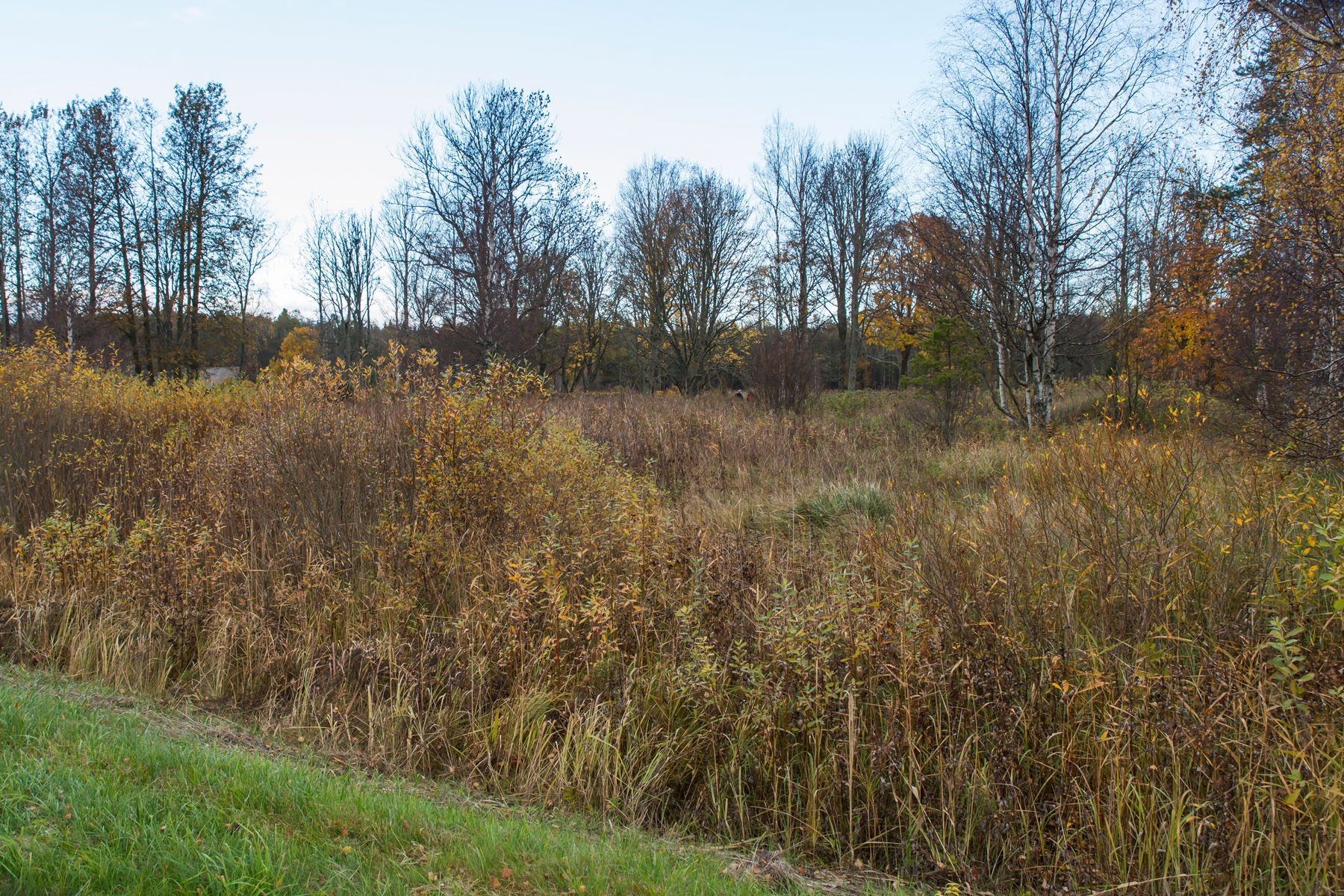 20141018-Yhtri-talgud-176.jpg - 18. oktoober 2014. Talgupäev Ühtris Ülo Soosteri sünnikohas. Foto Mart Mõniste