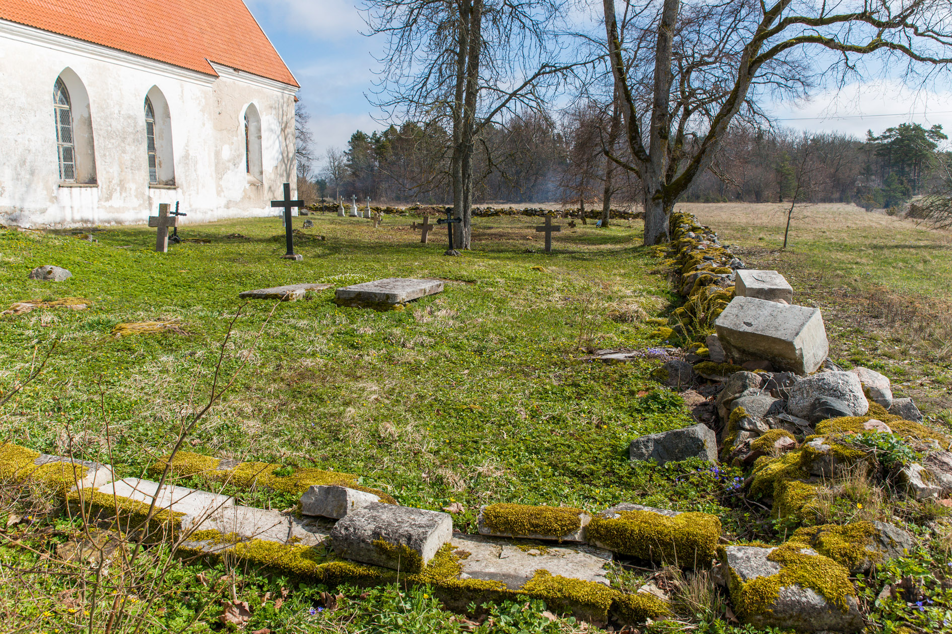 20150418-Pyhalepa-205.jpg - 18. aprill 2015. Talgupäev Pühalepa kirikuaias