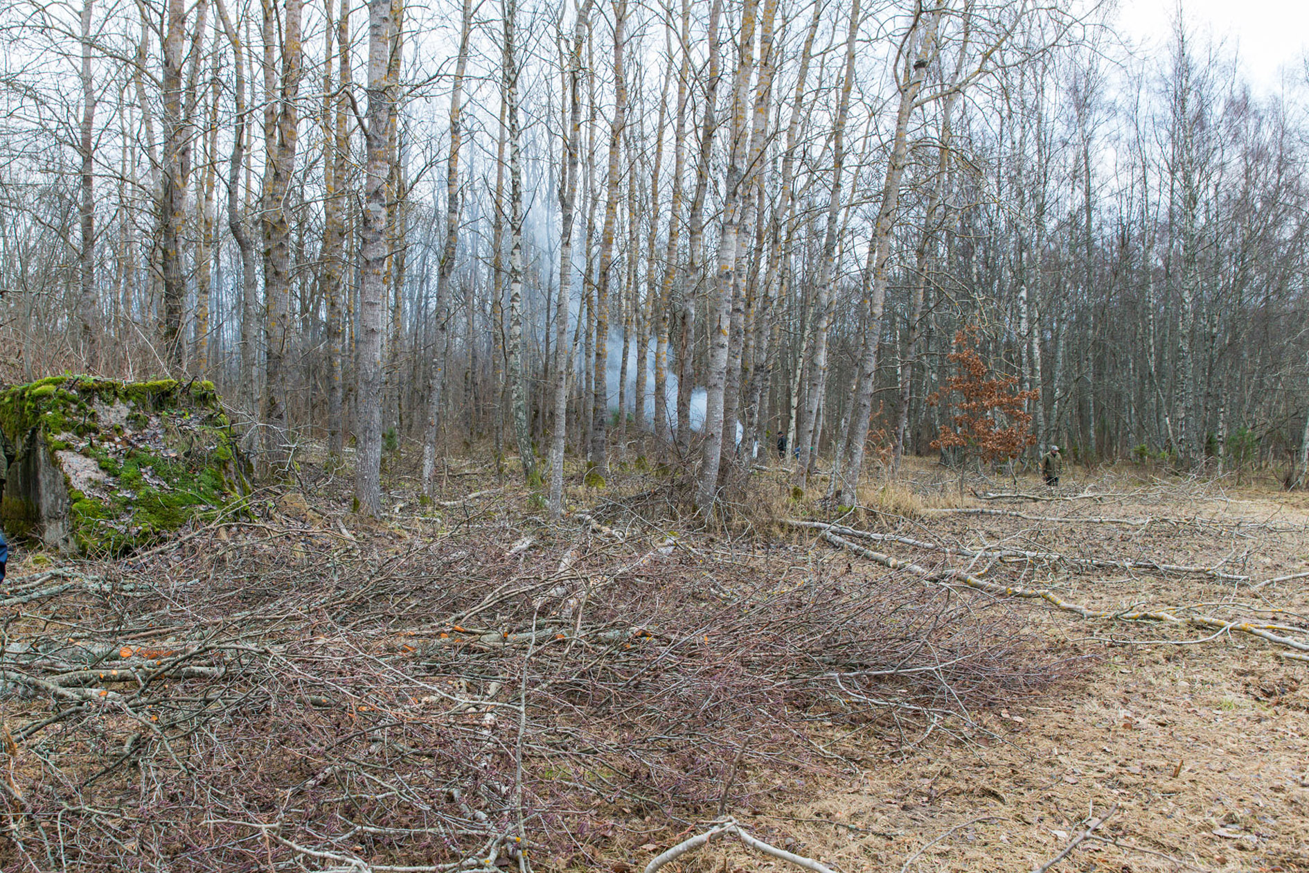 20151128-Tohvri-005.jpg - 28. november 2015. Tohvri rannapatarei talgud