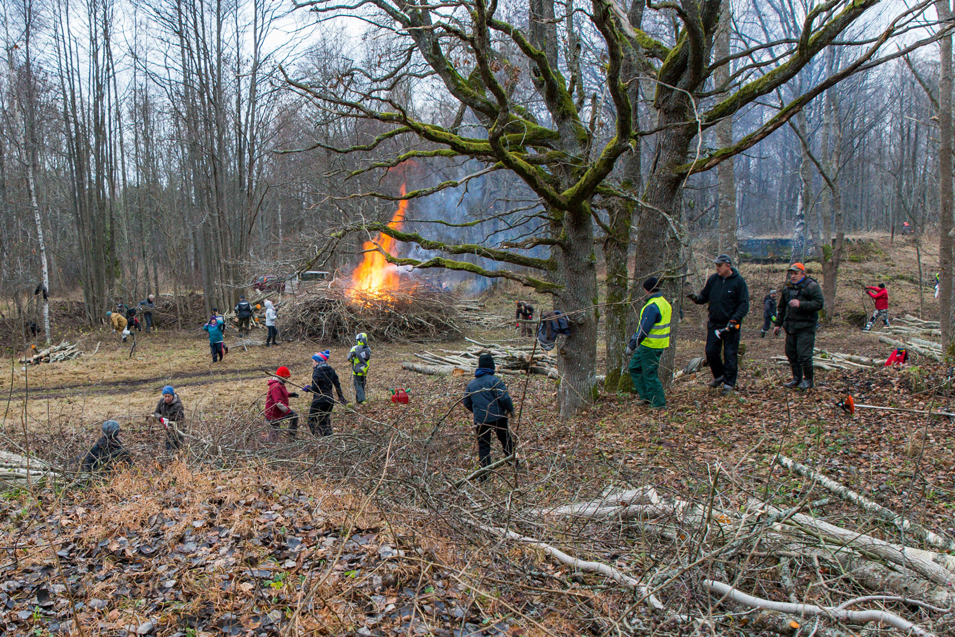 20151128-Tohvri-127.jpg - 28. november 2015. Tohvri rannapatarei talgud