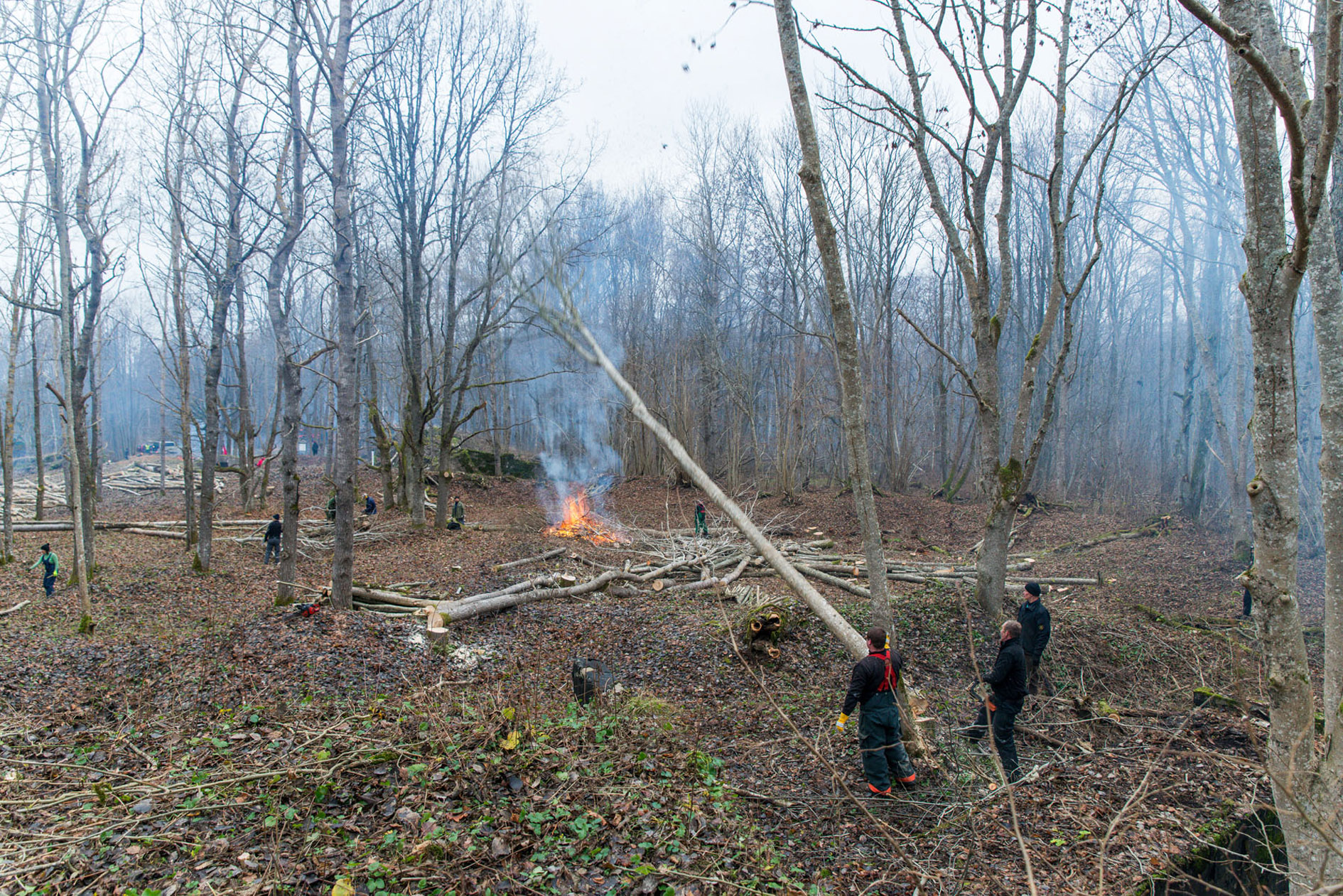 20151128-Tohvri-287.jpg - 28. november 2015. Tohvri rannapatarei talgud