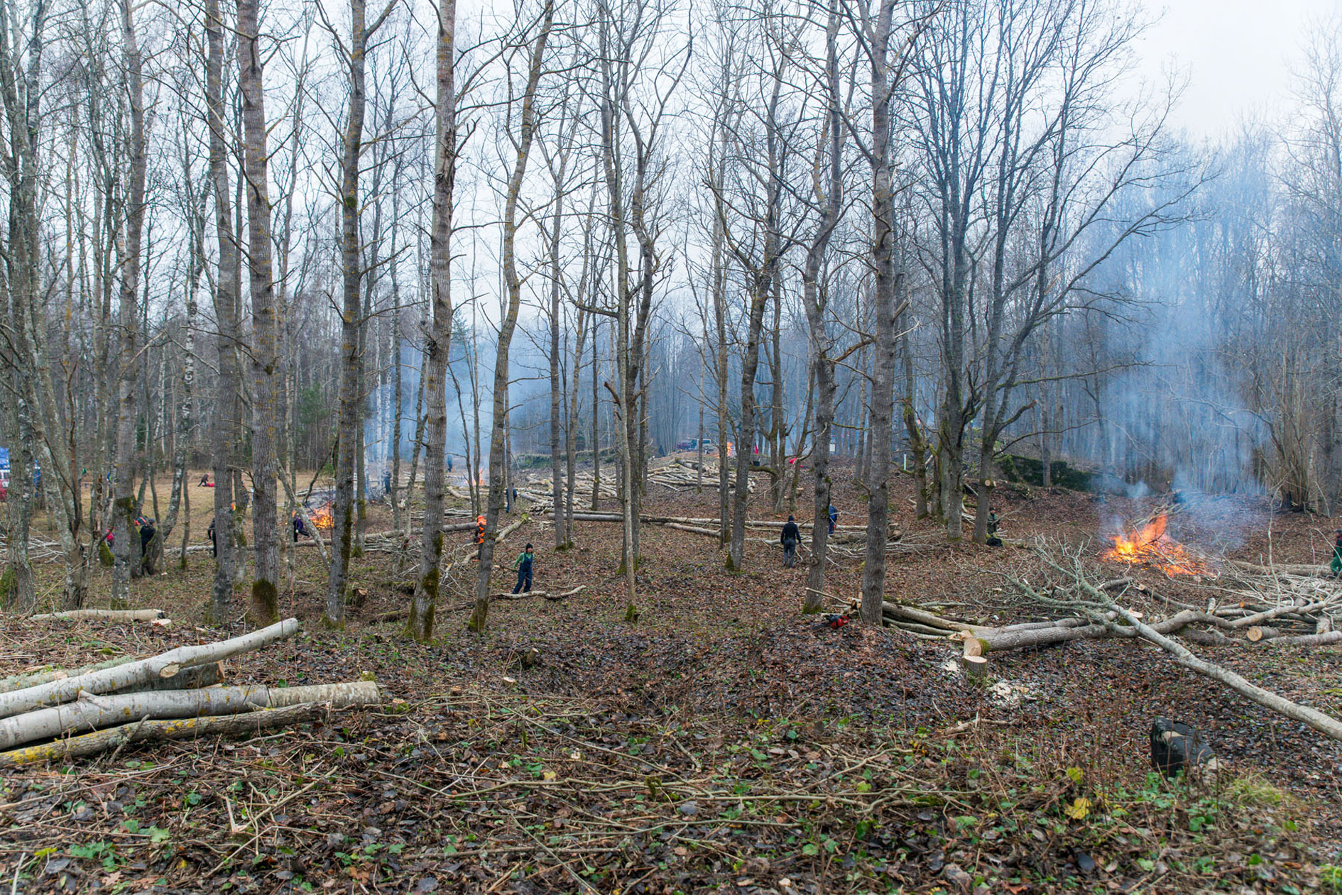 20151128-Tohvri-289.jpg - 28. november 2015. Tohvri rannapatarei talgud