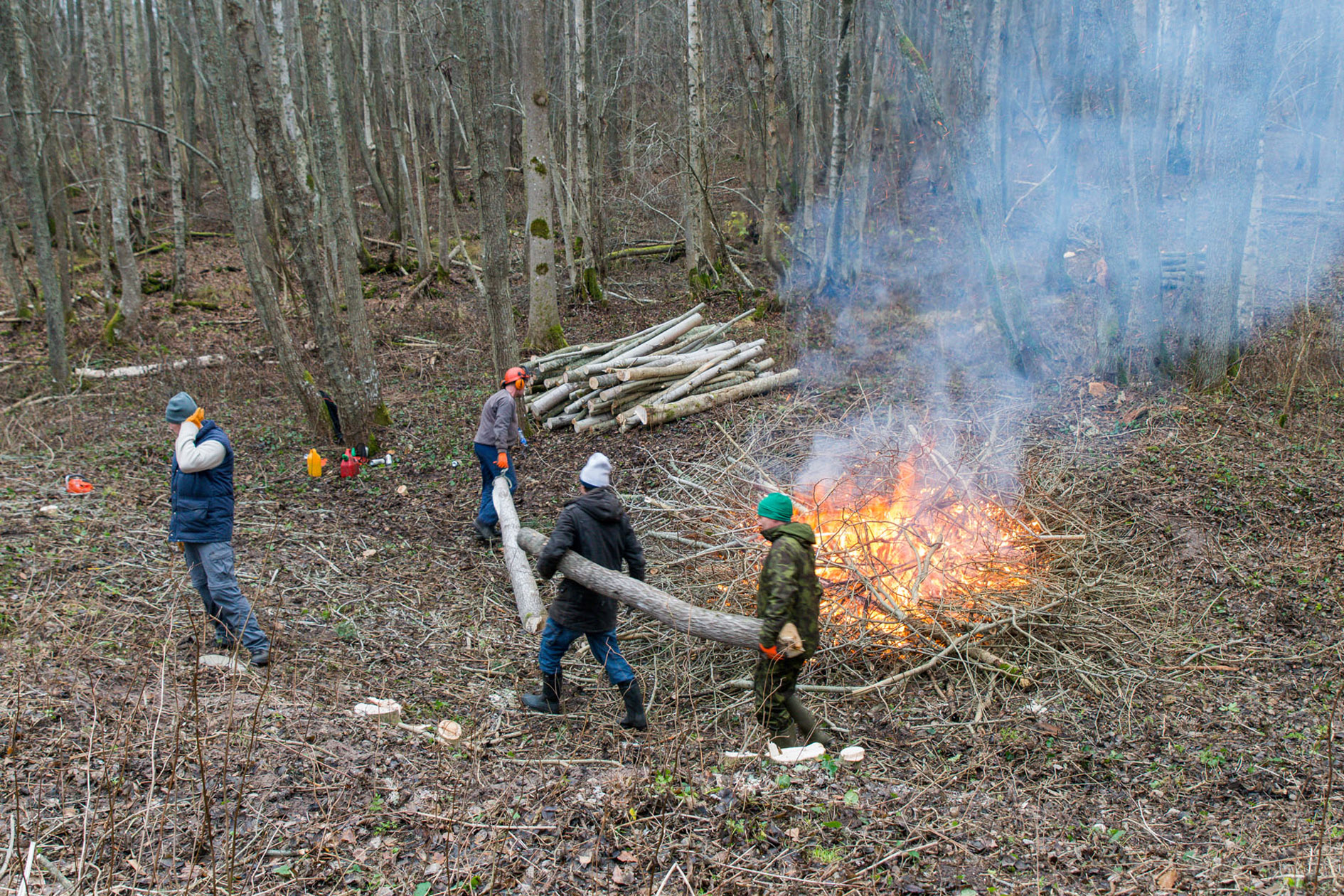 20151128-Tohvri-299.jpg - 28. november 2015. Tohvri rannapatarei talgud