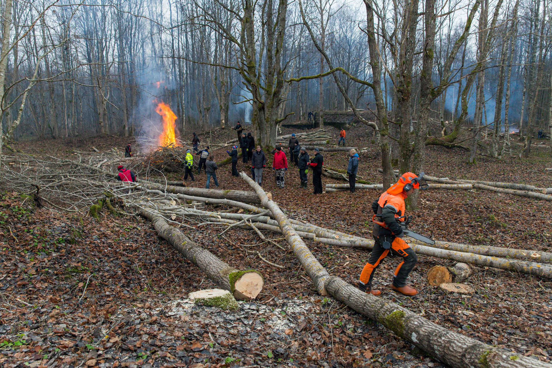 20151128-Tohvri-329.jpg - 28. november 2015. Tohvri rannapatarei talgud