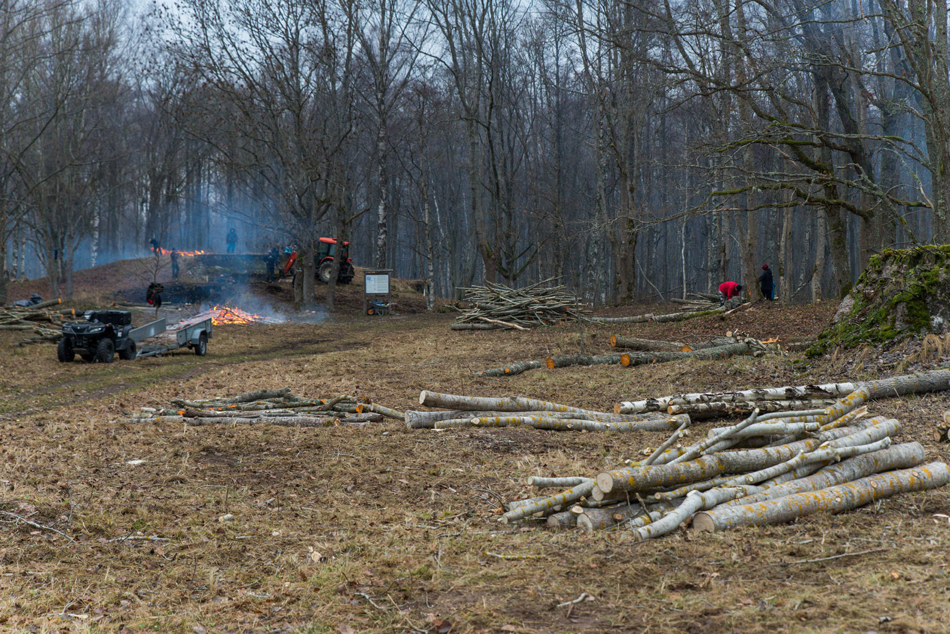 20151128-Tohvri-341.jpg - 28. november 2015. Tohvri rannapatarei talgud