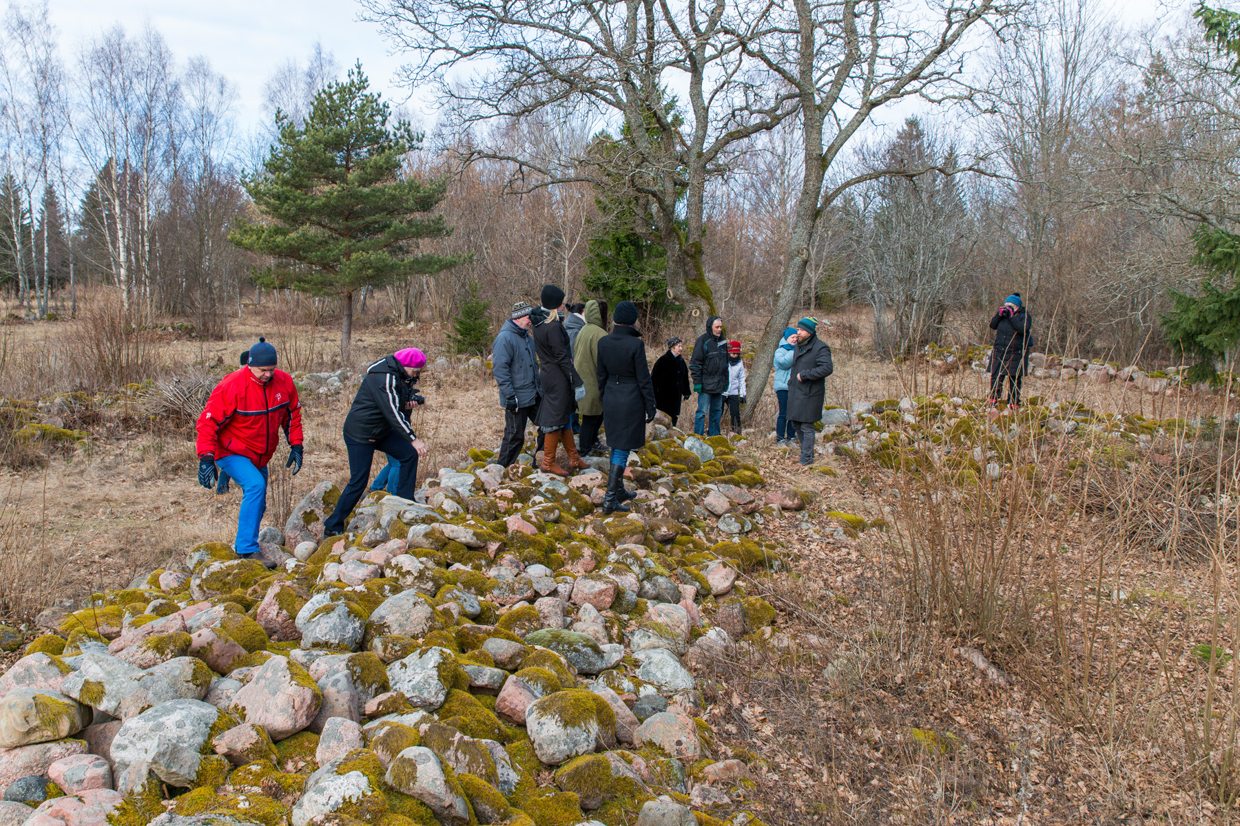 20160318-Saaremaa-006-Vohma-linnus.jpg - 18.-20. märts 2016. Saaremaa ringreis. Võhma maalinn