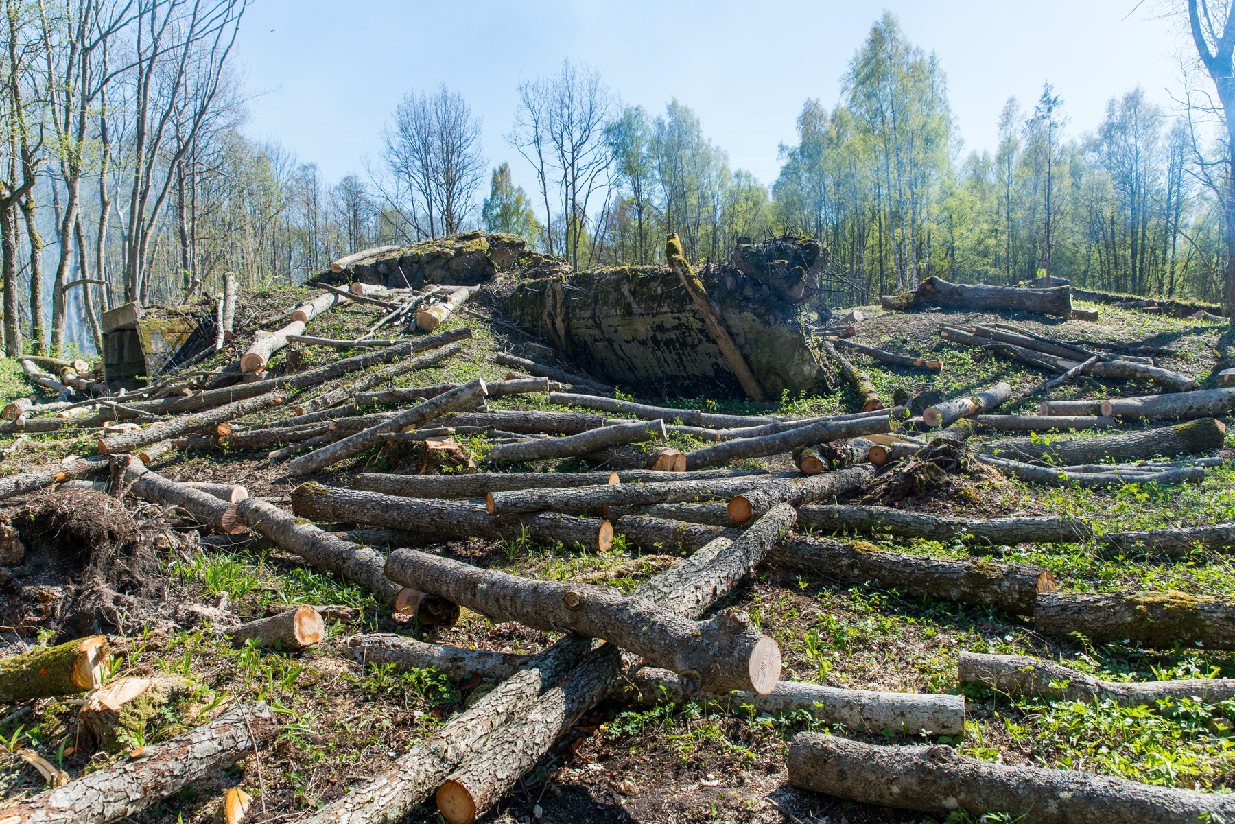 20160507-Tohvri-talgud-II-232.jpg - 7. mai 2016. Tohvri patarei korrastamise 2. talgupäev