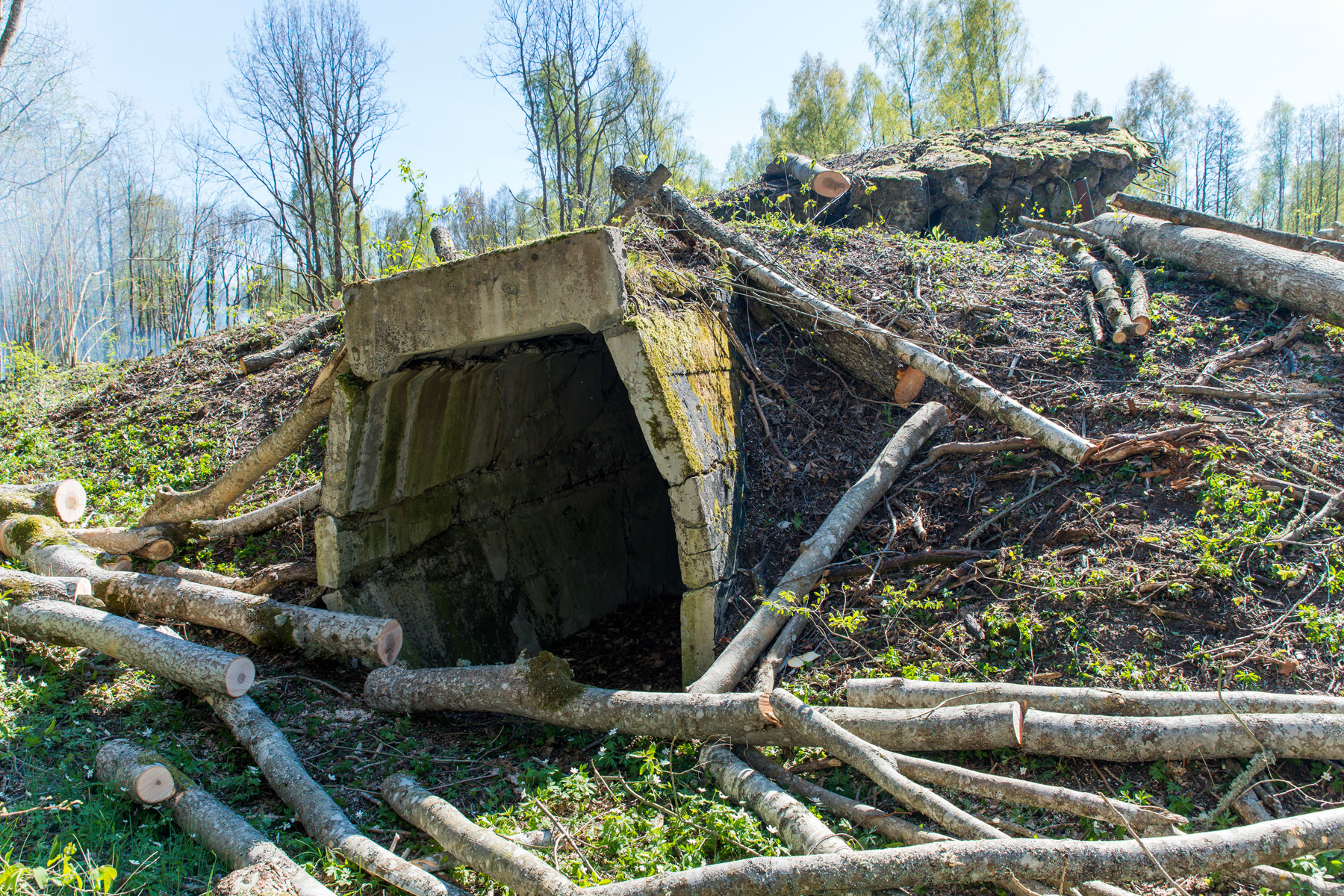 20160507-Tohvri-talgud-II-235.jpg - 7. mai 2016. Tohvri patarei korrastamise 2. talgupäev