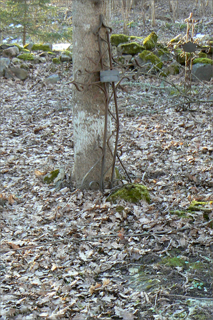 Kaina-02-raudrist-2.jpg - Käina 02 raudrist 2